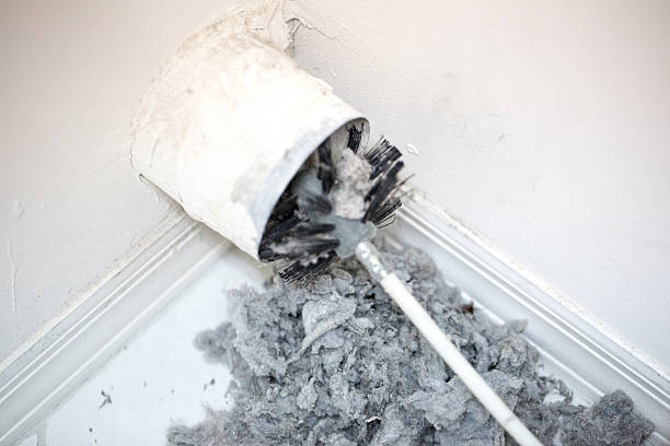 Best Air Vent Cleaning Services  in Pine Knoll Shores, NC